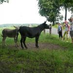 foto 0118