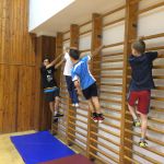 IMG 4741