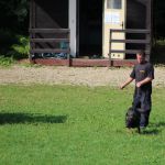 IMG 4942