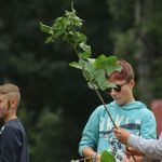 IMG 1734 file