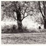 Scan10092
