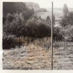 Scan10097