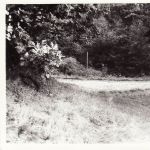 Scan10102