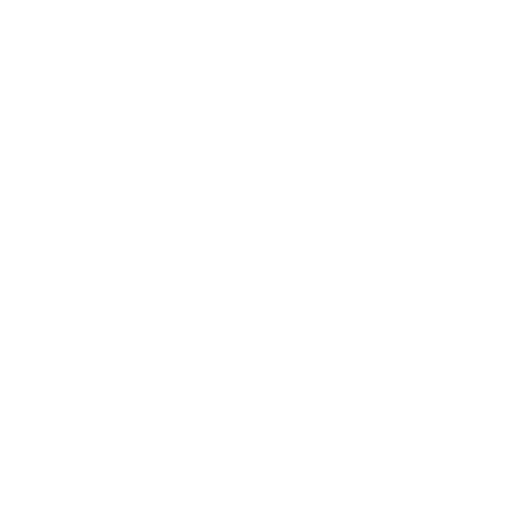 Pionýr